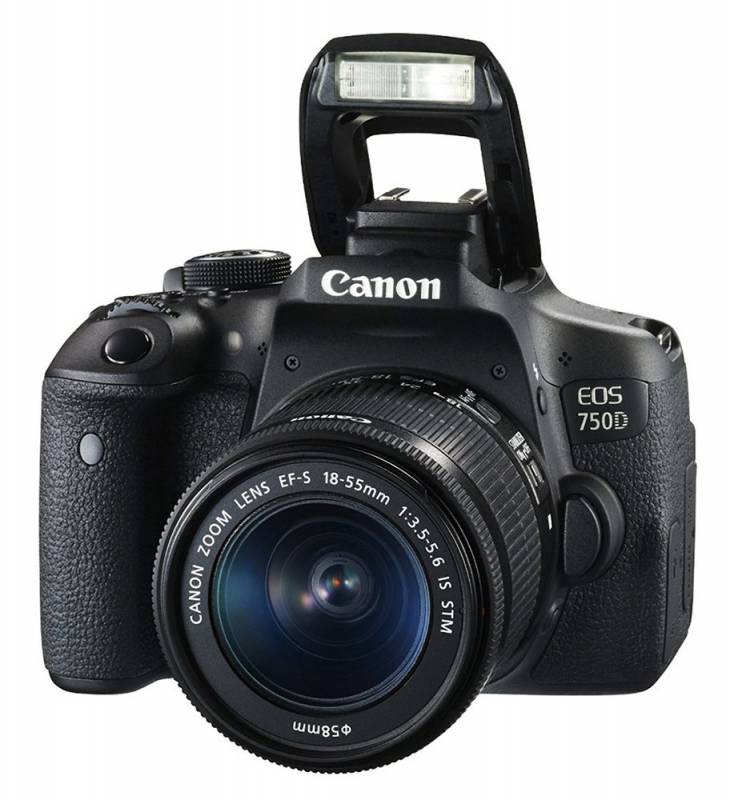 Зеркальный Фотоаппарат Canon EOS 750D черный 24Mpix EF-S 18-55mm f/3.5-5.6 IS STM 3" 1080p Full HD SDXC Li-ion (с объективом) в интернет магазине soman