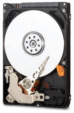 Жесткий диск WD Original SATA-III 500Gb WD5000LPCX Blue (5400rpm) 16Mb 2.5" в интернет магазине soman